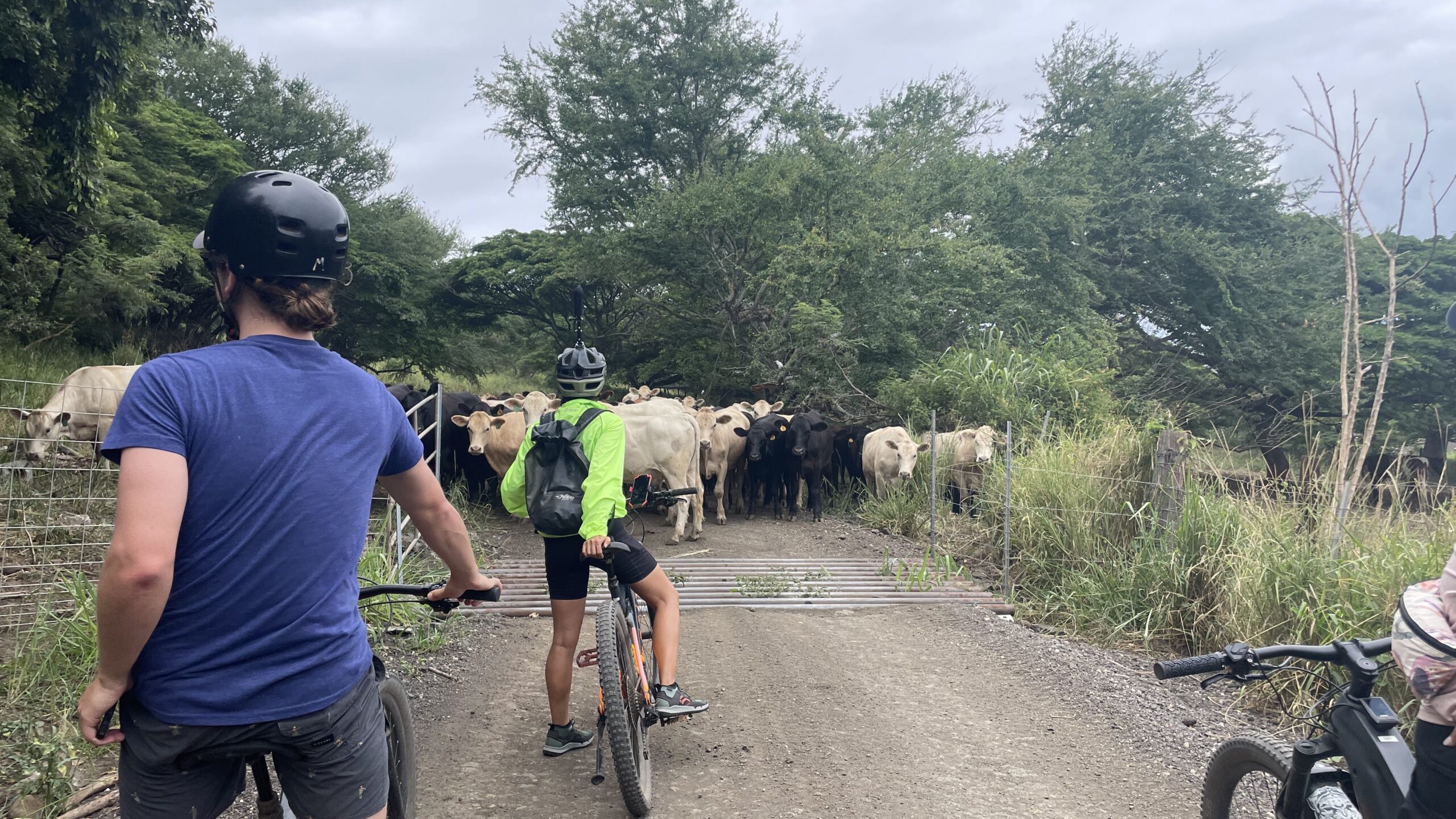 大自然【ハワイ】クアロア・ランチ Eバイクツアーに参加してきた